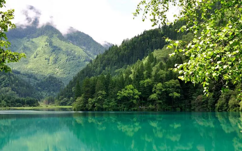 高端高效